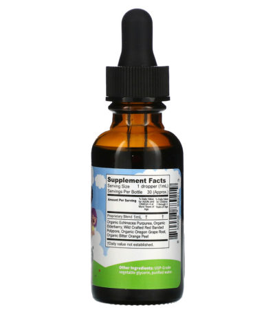 Immune Boost with Echinacea