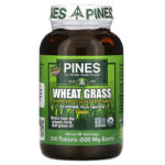 Pines International‏