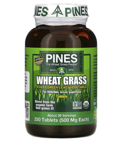 Pines International‏