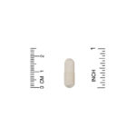 Probiotic & Prebiotic Blend