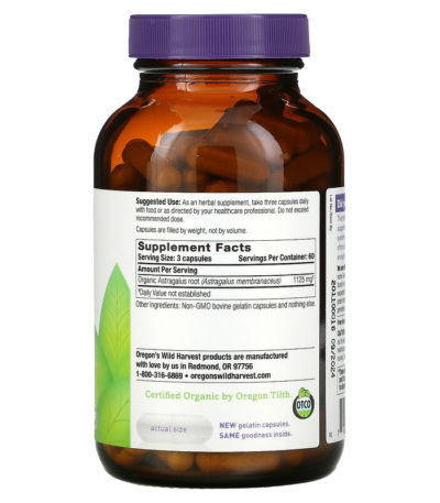Astragalus