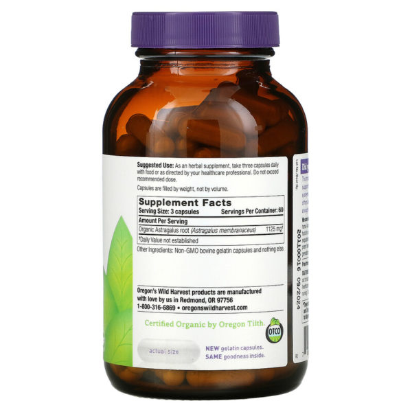 Astragalus