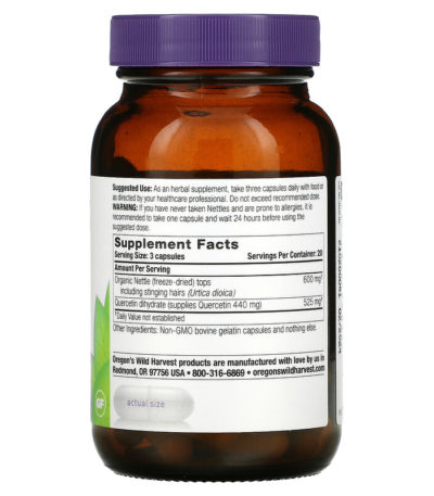 Nettle Quercetin