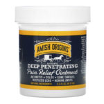 Amish Origins‏