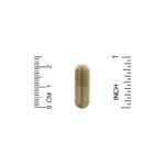 60 Veggie Capsules ،كاليفورنيا غولد نوتريشن، من متجر روزا في فلسطين